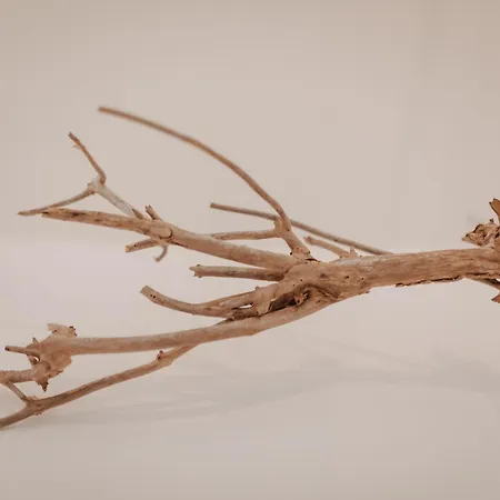 Apartment Fresena Bude 8