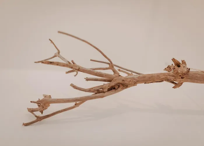 公寓 Fresena Bude 8